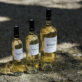 chateau_paradis_gamme_vin_blanc