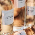 vin-rosé-chateau-paradis-formats