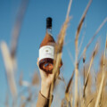 Terre_des_anges_vin_rosé_chateau_paradis
