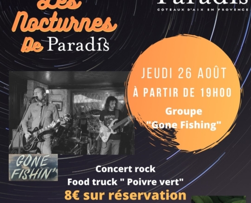 Photo concert rock château Paradis