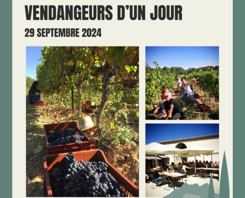 atelier vendangeurs d'un jour