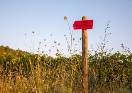 Le Sentier Vigneron Une balade libre et immersive au cœur du vignoble. Château Paradis