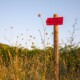 Le Sentier Vigneron Une balade libre et immersive au cœur du vignoble. Château Paradis