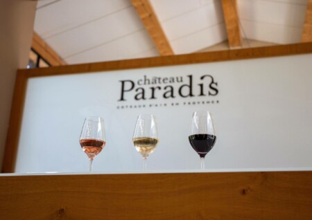 Dégustation commentée des vins Château Paradis et Terre des Anges